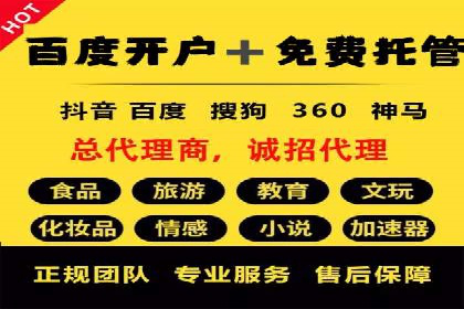 谷歌竞价广告与SEO结合的营销案例解析